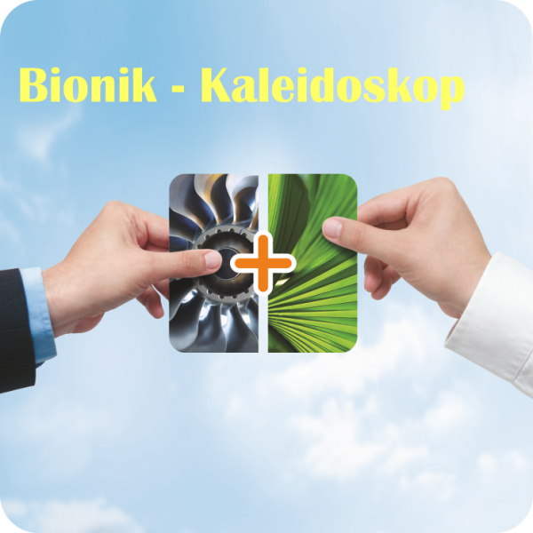 Bionik-Kaleidoskop